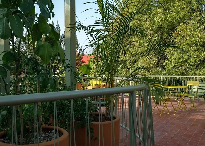 Cam 002 * Mexiko-Stadt